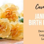 January Birth Flower