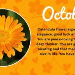 October Birth Flower