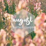 August Birth Flower