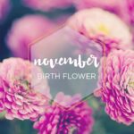 November birth flower