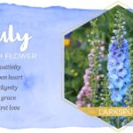 July Birth Flower