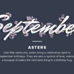 september birth flower