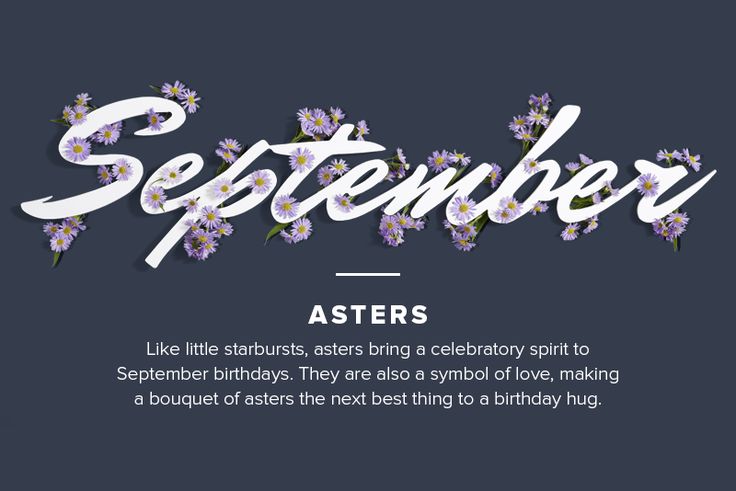 september birth flower