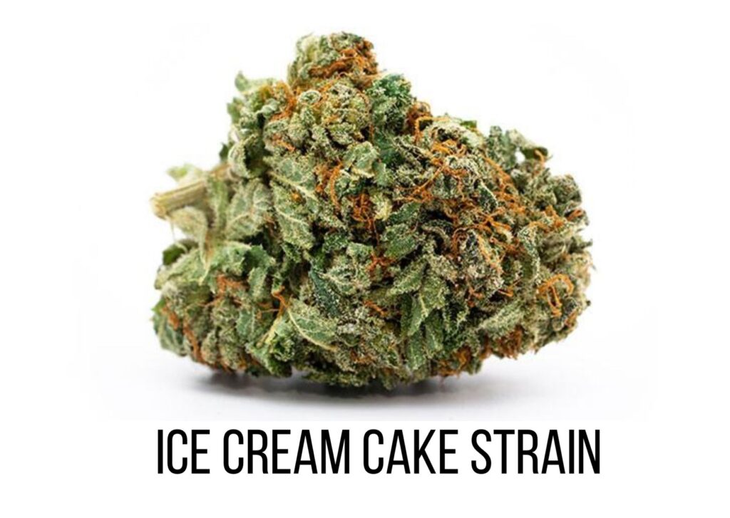 ice cream cake strain