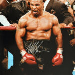 Mike Tyson Fight : Everything You Need to Know