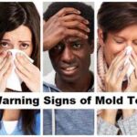 10 Warning Signs of Mold Toxicity