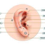 Ear Piercing Chart