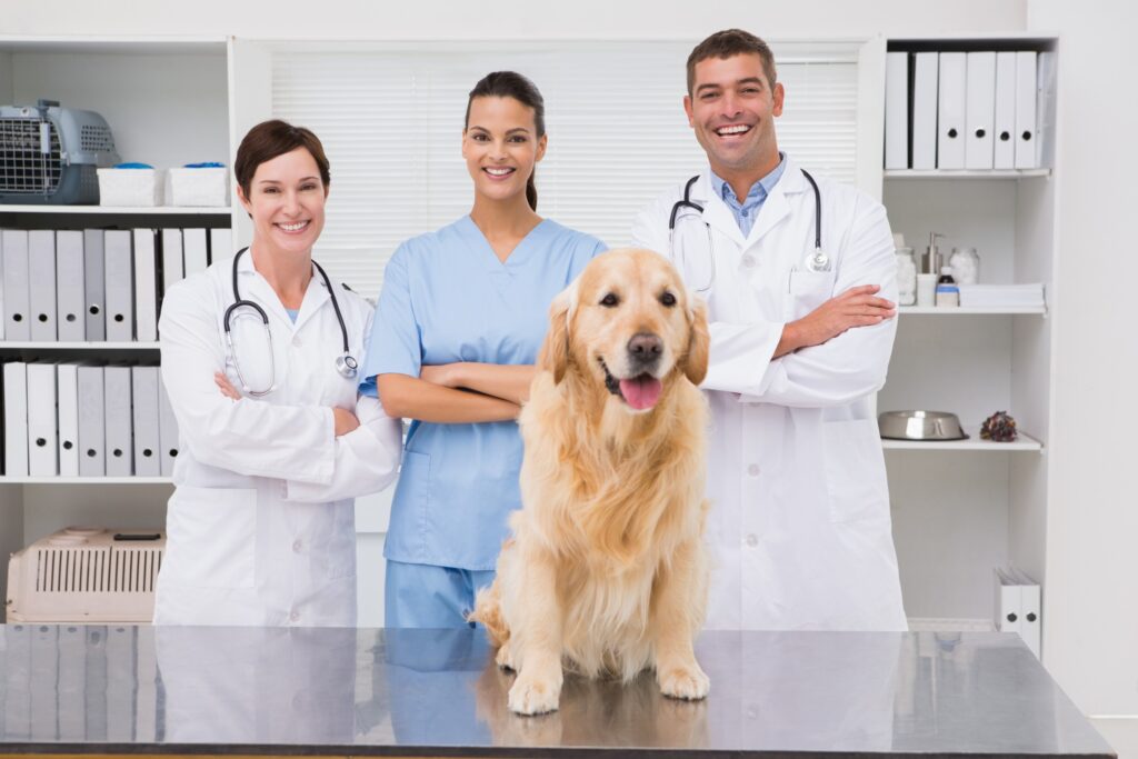 My Healthevet: A Comprehensive Guide to Managing Your Health