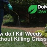 How to Kill Weeds in Pine Trees Without Killing Them