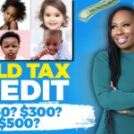 2024 child tax credit payments