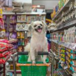 Pet Supermarket: Your One-Stop Shop for All Pet Needs