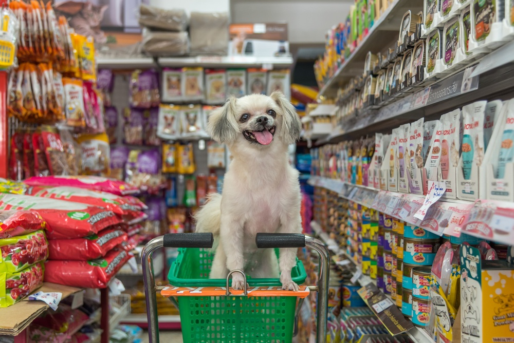 Pet Supermarket: Your One-Stop Shop for All Pet Needs