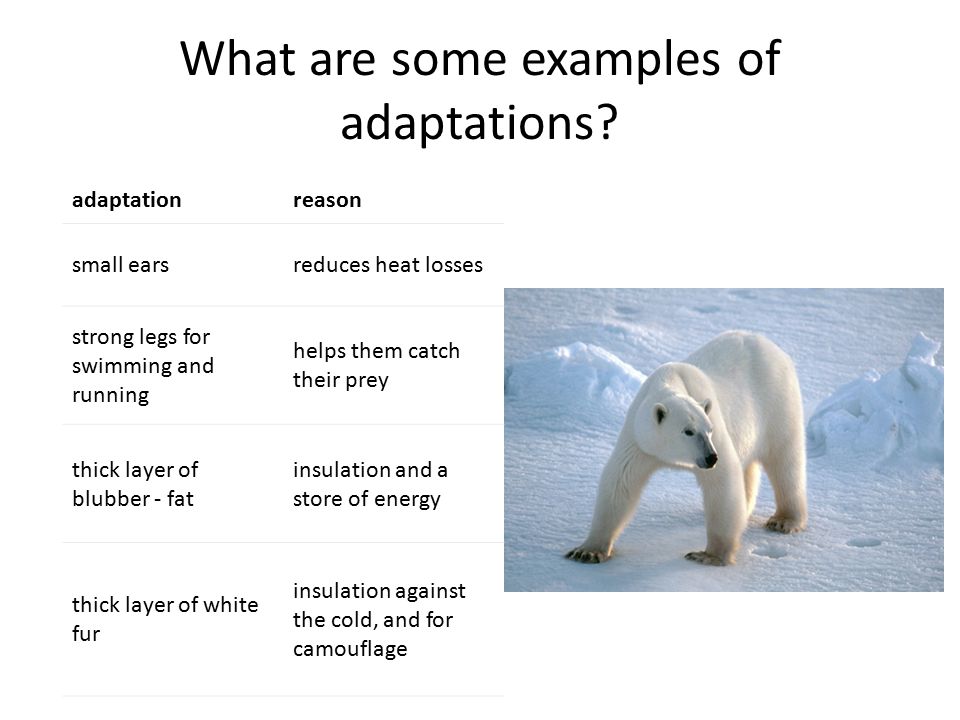 What is Abadtration?